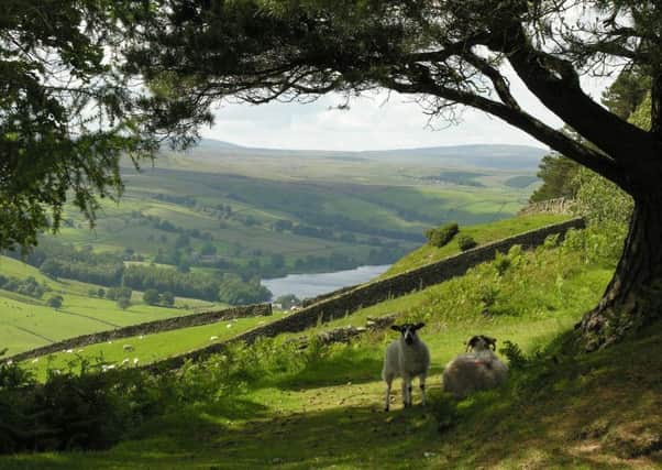 A project to conserve the landscapes of Upper Nidderdale is drawing to a close after four years.