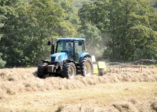 Farmers have been dealing with record temperatures