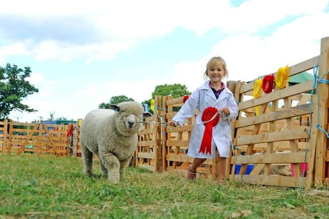 Four-year-old Pippa Welford, from Bubwith near Selby, winner of the young sheep handler for children aged five and under.