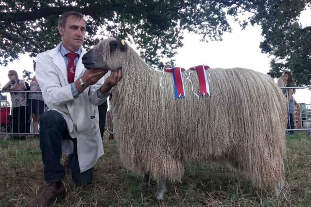 Ernie Sherwin with his supreme sheep champion, Nosterfield Bedale.