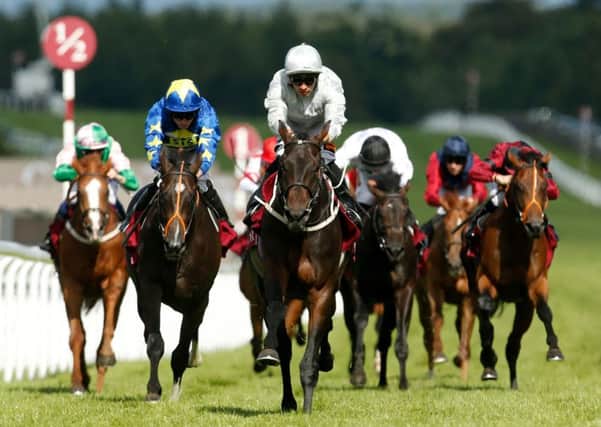 St Leger hope Dee Ex Bee (centre) lines up in the Gordon Stakes at Goodwood today for trainer Mark Johnston.