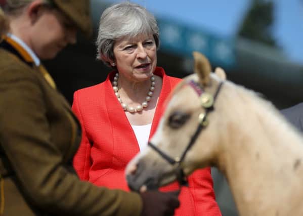 Prime Minister Theresa May looks at horses during a visit to the Royal Welsh Agricultural Show, but is she a racing certainty to lose her job?