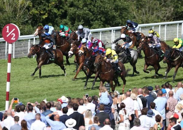 Close call: Justanotherbottle (yellow colours) lead eventual winner Gifted Master and Jason Watson (red star on cap) in the Stewards Cup.