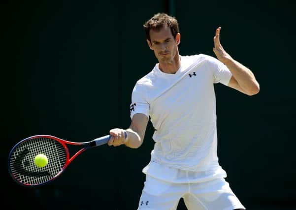Andy Murray: Withdrew from Washington and Toronto tournaments to aid comeback.