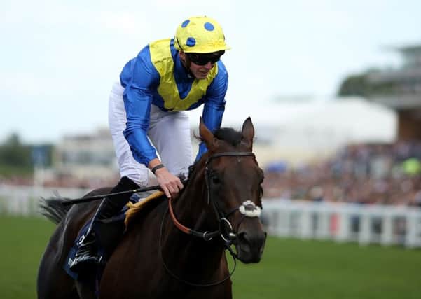 Poet's Word is on course for the Juddmonte International.