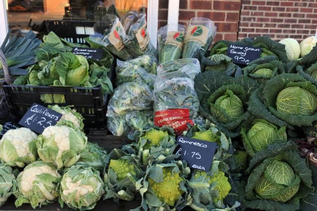 The combined value of vegetables, fruit and ornamental plants produced in Britain in 2017 was Â£3.6bn, according to Defra figures. Picture by Tony Johnson.