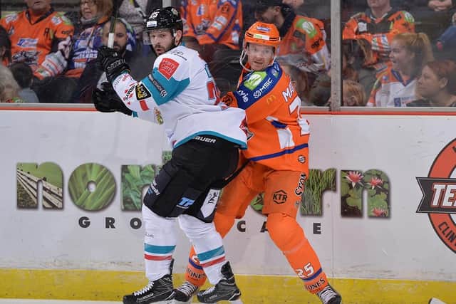 GETTING TO GRIPS WITH NEW ROLE: Defenceman Mark Matheson has been appointed as assistant coach to Sheffield Steelers' boss Paul Thompson. Picture: Dean Woolley.