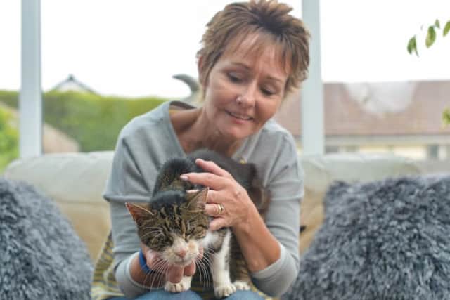 Janet Adamowicz was left heartbroken when her beloved tabby cat called Boo disappeared unexpectedly in 2005 aged just four.