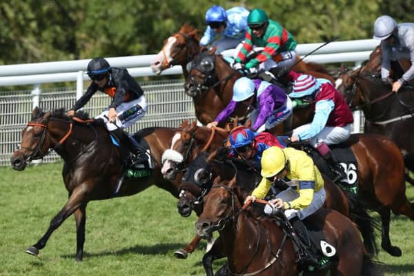 Justanotherbottle and Ger O'Neill, in yellow, silks lead the Jason Watson-ridden Gifted Master (red star on cap) in a frantic finish to last weekend's Stewards Cup at Goodwood.