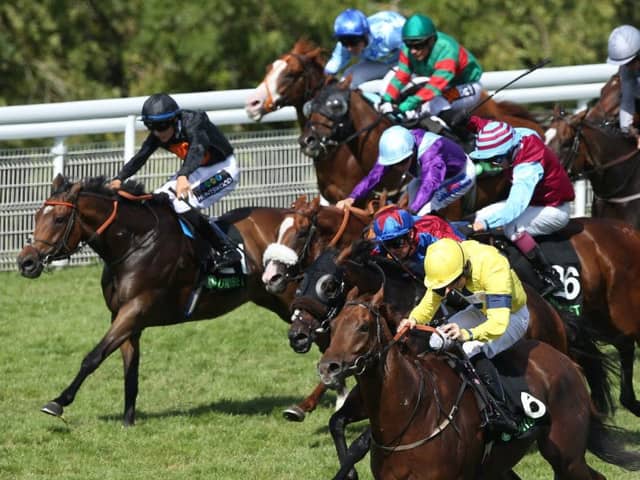 Justanotherbottle and Ger O'Neill, in yellow, silks lead the Jason Watson-ridden Gifted Master (red star on cap) in a frantic finish to last weekend's Stewards Cup at Goodwood.