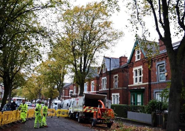 Tree-felling in Sheffield has caused controversy.