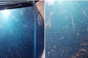 Residents could wake up to a heavy covering of red dust on their cars on Friday PIC; Paige Parkin