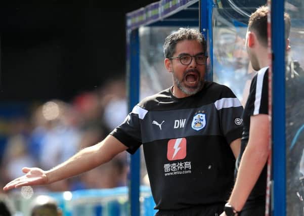 Huddersfield Town, under head coach David Wagner, defied expectations that they would slip quietly back into the Championship last season (Picture: Mike Egerton/PA Wire).