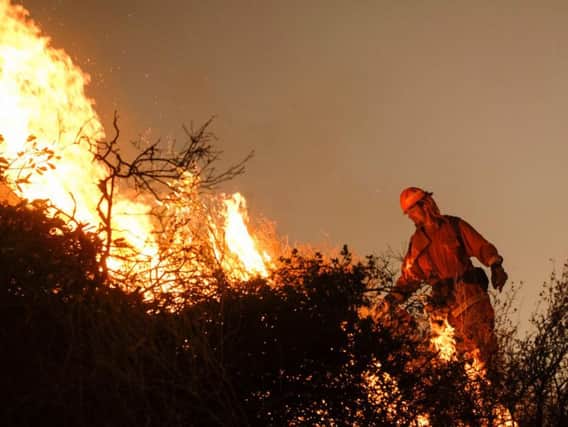 A firefighter sets a backburn to fight the Holy Fire as it burns in the Cleveland National Forest along a hillside at Temescal Valley in Corona, Calif., Thursday, Aug. 9, 2018. Firefighters fought a desperate battle to stop the wildfire from reaching homes as the blaze surged through the forest above the city of Lake Elsinore and its surrounding communities. (AP Photo/Ringo H.W. Chiu)