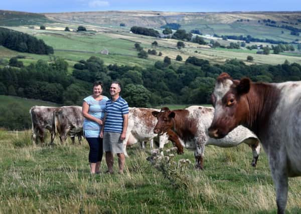 Andrew and Sally Hattan of Low Riggs Farm at Middlesmoor in the Nidderdale Area of Outstanding Natural Beauty, who are using the raw milk from their small herd of rare breed Northern Dairy Shorthorns to produce Stonebeck cheese. Pictures by Jonathan Gawthorpe.