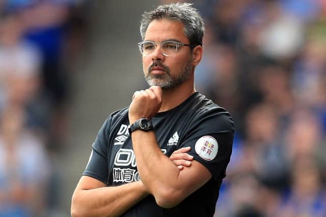 Pause for thought: Huddersfield Town manager David Wagner.