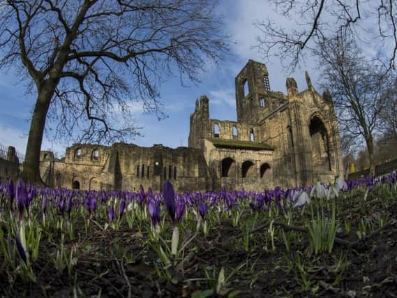 The 900-year-old Abbey could soon have more company.