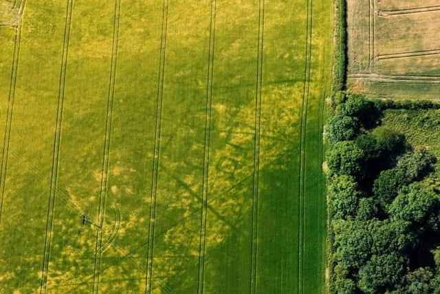 Iron Age squate barrows near Pocklington , indicate  the distinctive remains of Iron Age burial sites on the Yorkshire Wolds.