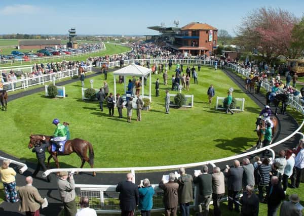 Plans have been unveiled for a new grandstand at Beverley's racecourse.