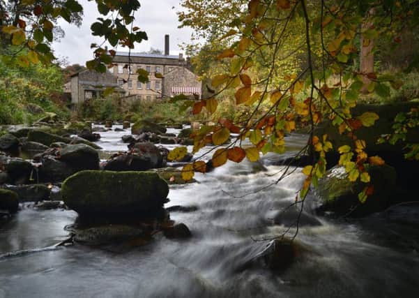 A public meeting about the tree felling plans will be held at Gibson Mill at Hardcastle Crags, Hebden Bridge on September 12. Pictures by Bruce Rollinson.