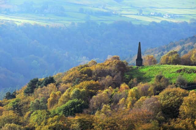 An estimated 100,000 people a year visit Hardcastle Crags, mainly to walk in the woods.