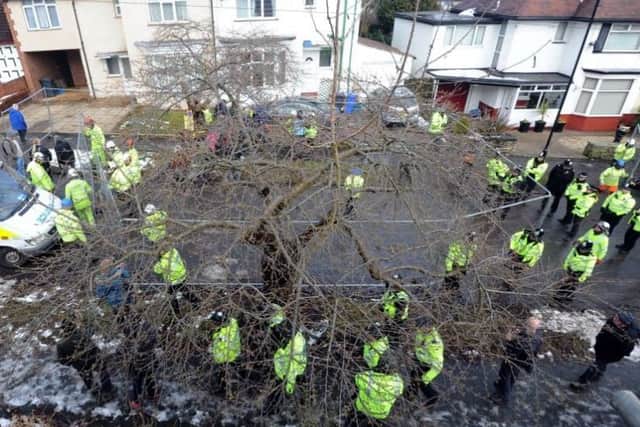 Tree-felling work in Sheffield has caused considerable controversy