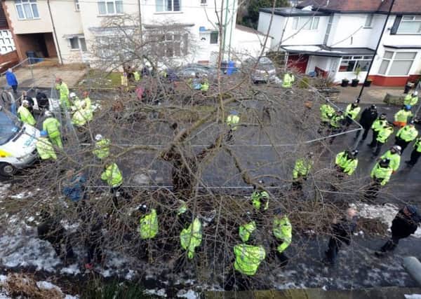 Tree-felling work in Sheffield has caused considerable controversy