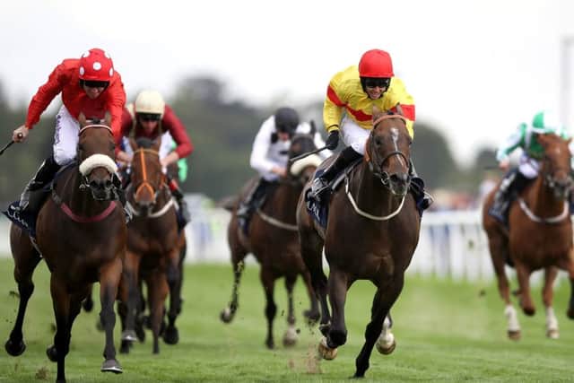 Mabs Cross (left) and eventual winner Alpha Delphini (right) fight out the finish to the Coolmore Nunthorpe Stakes.