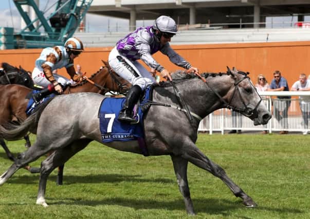 Havana Grey and PJ McDonald, pictured winning at the Curragh last month, could return to Ireland's top track next month.