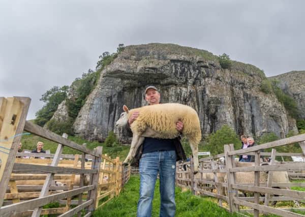 Jonathan Collier, of Oakworth, Keighley, carrying a Beltex Cross Texel Lamb at Kilnsey Show. The same lamb came second in its class at the Great Yorkshire Show. Picture by James Hardisty.