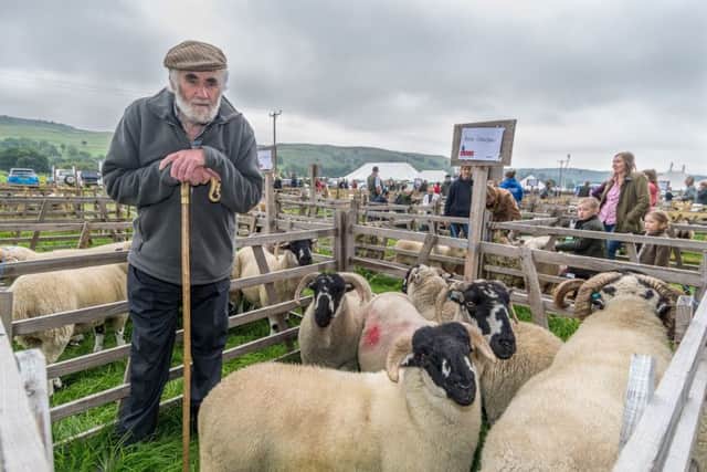 Sheep farmer Brain Crawshaw, aged 85, of Whitworth near Rochdale, enjoying the 121st Kilnsey Show. Pictures by James Hardisty.