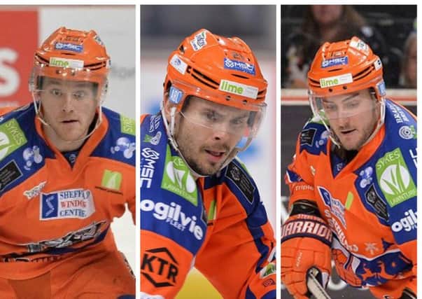 FAMILIAR FACES: Eric Neiley, Tim Wallace and Andreas Valdix were all in a Steelers' jersey last season. Pictures: Dean Woolley/Hayley Roberts.