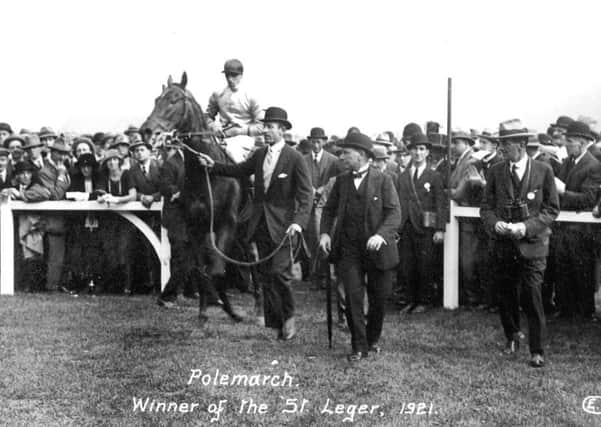 The 1921 St Leger winner, Polemarch.