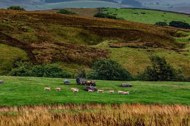 What will be the future for the rural economy after Brexit?
