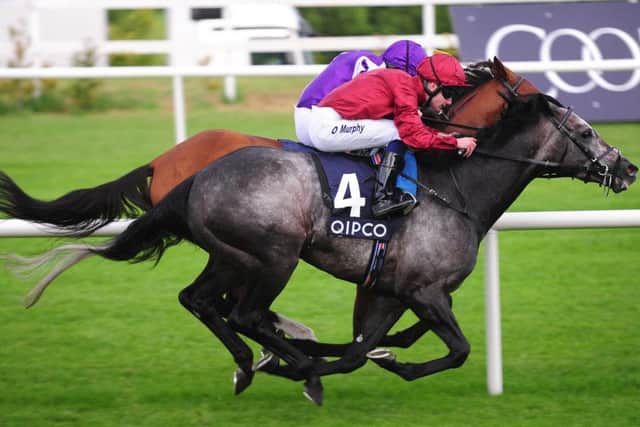 Roaring Lion, winner of York's Dante Stakes and Juddmonte International, just got the better of Saxon Warrior in the Irish Champion Stakes.