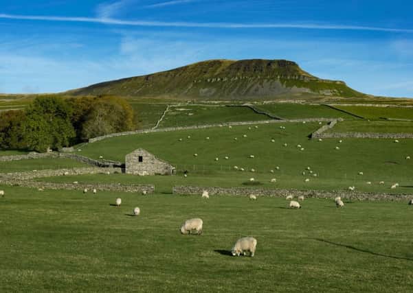 Members of the Yorkshire Dales National Park Authority will decide whether to approve the new five-year management plan for the Yorkshire Dales National Park when they meet on Tuesday. Picture by James Hardisty.