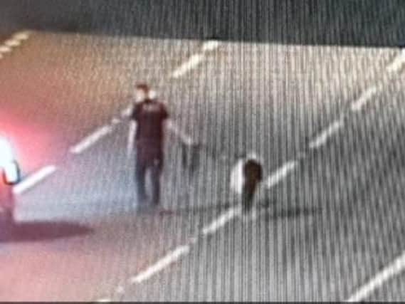 A pony had to be rescued from the motorway