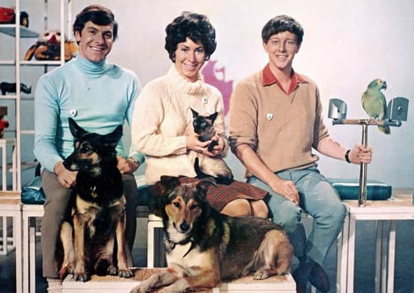 Peter Purves, Valerie Singleton and John Noakes in the Blue Peter studio with Jason, Petra, Patch and Barney in 1969.