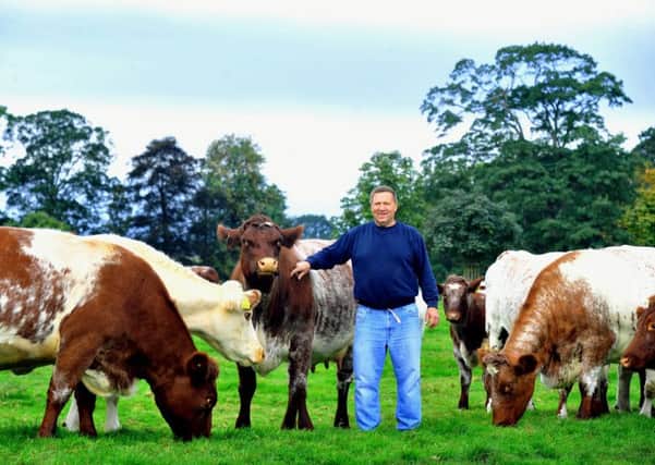 Graham Hunt with some of his Beef Shorthorn cattle that he runs at Sowerby Parks Farm near Thirsk. Pictures by Gary Longbottom.