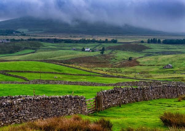 A series of ambitious targets for environmental improvements have been set out as part of a new five-year management plan for the Yorkshire Dales National Park. 
Picture James Hardisty.