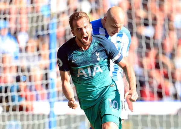 Tottenham Hotspur's Harry Kane celebrates scoring.