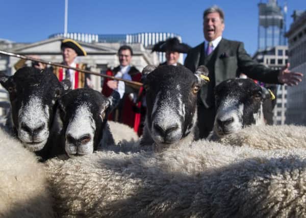 Alan Titchmarsh joins more than 600 Freemen and Women of the City of London as they take up their historic entitlement to drive their sheep over London Bridge.