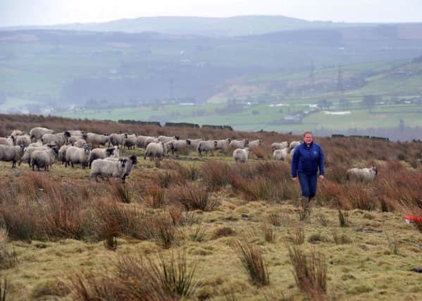 The Yorkshire Post panel of experts discussed how upland farmers will cope in a new era for British agriculture. Pictures by Tony Johnson.