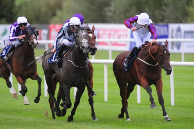 Laurens, right, outbattles the now retired Alpha Centauri in Leopardstown's Matron Stakes.