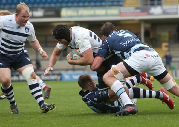 Yorkshire Carnegie forward Matt Smith is tackled by the Bedford cover (Picture: Matt Smith/Varley).