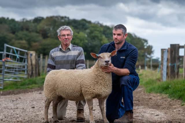 Award-winning farmer Charles Marwood, of Foulrice Farm, Whenby, York, is celebrating 36 years as a Charollais breeder ahead of his 70th birthday by putting his highest number of females up for sale at a celebratory auction at Skipton Auction Mart on Saturday. Mr Marwood is pictured with his son Stephen, holding a ewe from the show, pen lot 68.