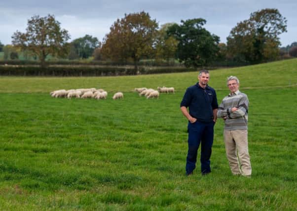 Charollais sheep breeder Charles Marwood, of Foulrice Farm, Whenby, York, pictured with his son Stephen, and some of their stock. Picture by James Hardisty.