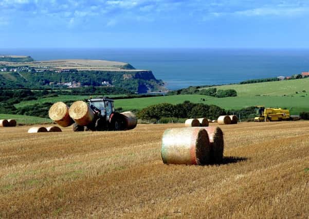 A fresh round of the Government's Countryside Productivity Small Grants scheme will open in early 2019. Picture by James Hardisty.