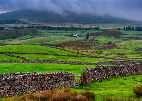 A view looking across Ribblesdale, towards Park Fell. 
Picture James Hardisty.