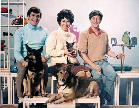 Peter Purves, Valerie Singleton and John Noakes in the Blue Peter studio with Jason, Petra, Patch and Barney, in 1969